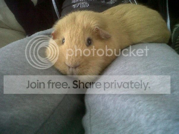 Jacksoncomfy_zpsc5fe2bf6.jpg
