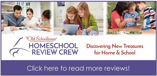 Bessie's Pillow {Strong Learning, Inc. Reviews}