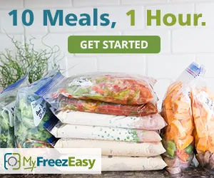  photo 10 Meals in 1 hour with My FreezEasy_zpsybaixa9s.jpg