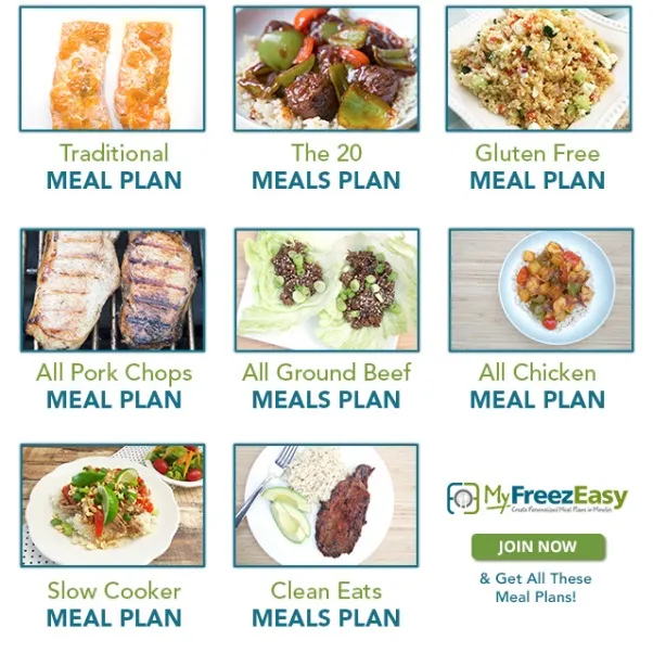 MyFreezEasy.com Freezer Meal Plan Membership {MyFreezEasy}, Hashtags: #hsreviews #freezeasy #freezermeals #5dollardinners #freezercooking, freezer cooking meal plan; freezer meal prep; freezer cooking plan