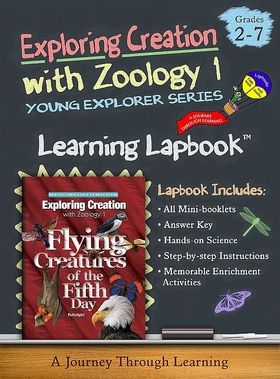 Apologia Flying Creatures of the Fifth Day Lapbook