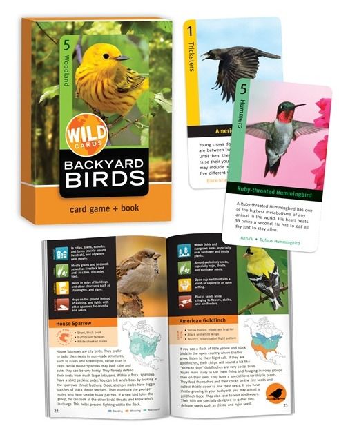 Wild Card - Backyard Birds photo birdcage-wildcardbackyardbirds_zps7f7f2dc5.jpg
