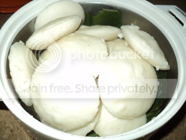 DSC01106.jpg